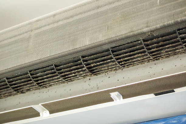 Best Affordable HVAC Duct Cleaning  in Central, LA